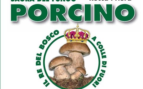 Mostra micologica a Colle di Fuori (Rocca Priora RM) – 2013