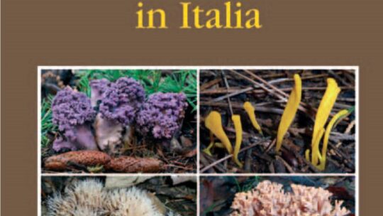 [Novità editoriali] I funghi clavarioidi in Italia, Franchi – Marchetti