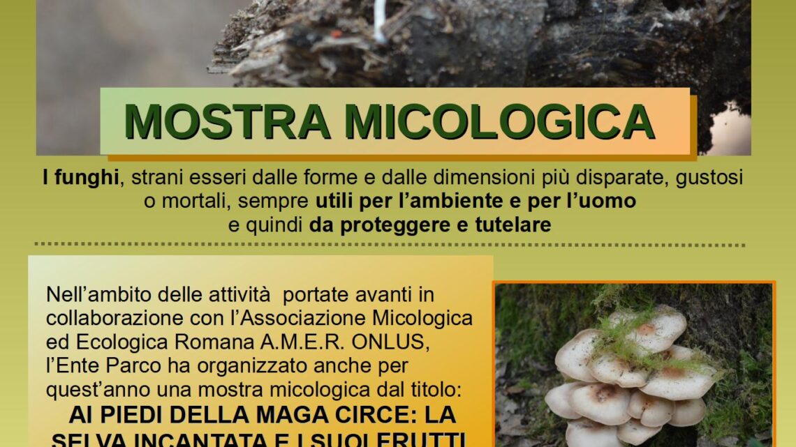 Mostra micologica al Circeo