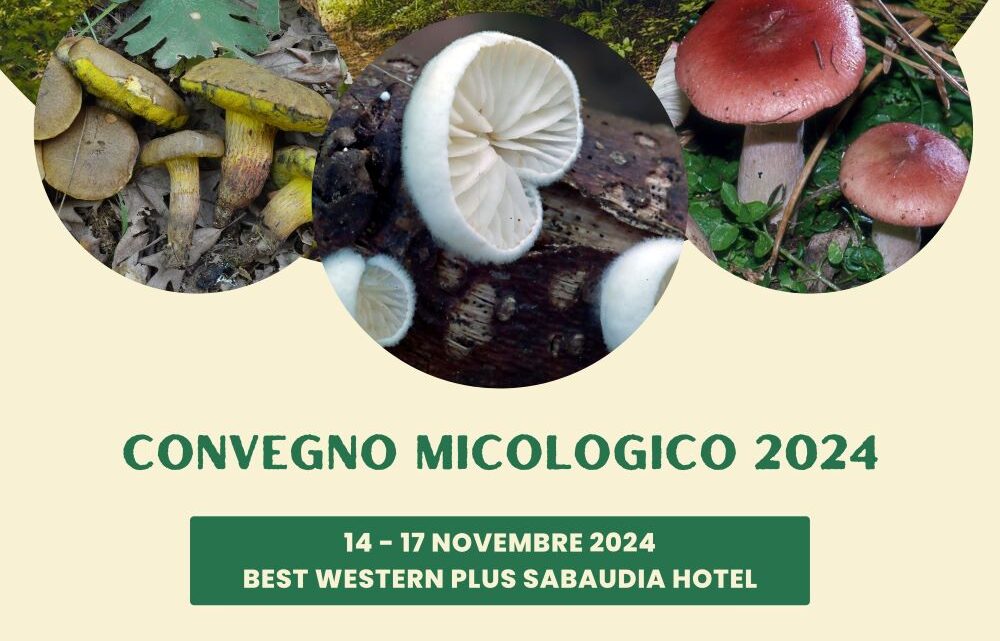 Convegno micologico 2024