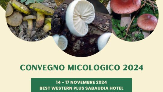 Convegno micologico 2024