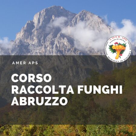 Corsi raccolta funghi Abruzzo