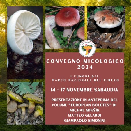 Convegno micologico 2024 - Circeo, 14-17 novembre 2024