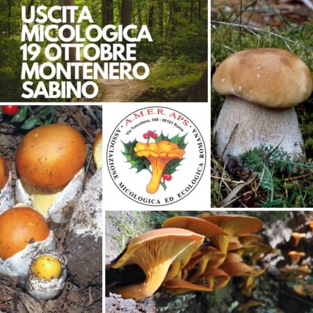 Uscita micologica a Montenero Sabino [19/10/2024]