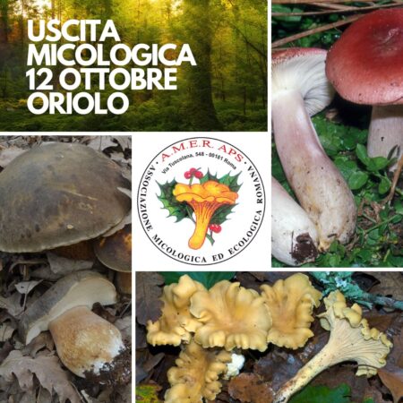 Uscita micologica a Oriolo Romano [12/10/2024]