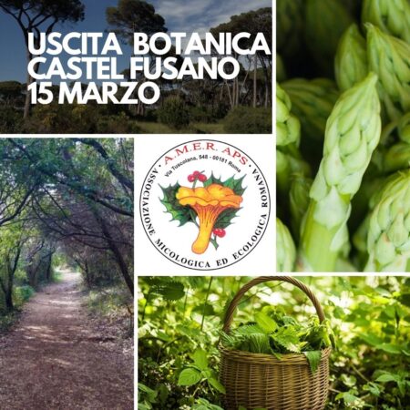 Uscita botanica a Castel Fusano alla ricerca di asparagi [15/03/2025]