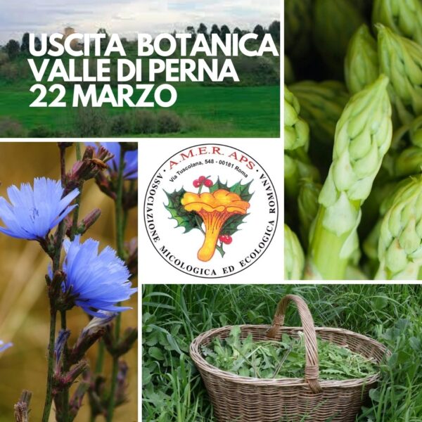 Uscita botanica nella Valle di Perna [22/03/2025]