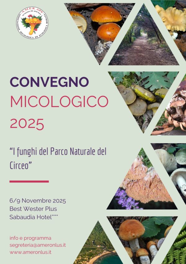 Convegno micologico 2025 - Circeo, 6-9 novembre 2025 - immagine 2